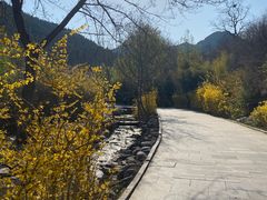 -黄花溪