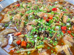 红烧大口鲶-刘土鸡家常菜