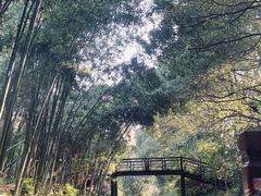 -同里国家湿地公园