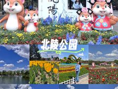 -北陵公园