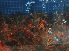 -香山湖渔家大院