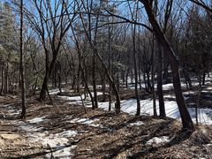 -北京鹫峰国家森林公园