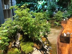-森味薪火烧•烧鸟居酒屋•日本料理(望京店)