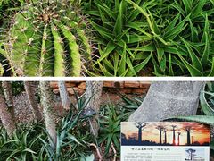 -国家植物园