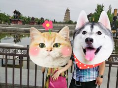 -大雁塔北广场音乐喷泉