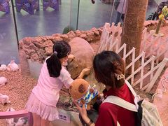 -正佳雨林生态植物园