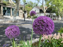 -北山街历史文化街区