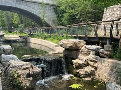 -白水寺森林公园