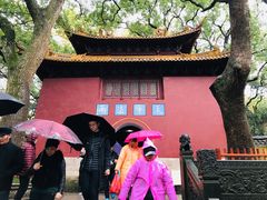 -普陀山风景名胜区-法雨禅寺