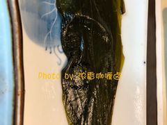 -一品韩牛