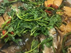 -杨辉饭店