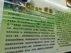 -杨记灌肠(食品街店)