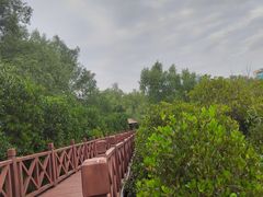-大亚湾红树林城市湿地公园