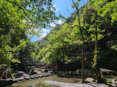 -石台牯牛降景区
