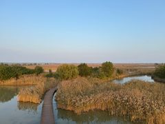 -盐城丹顶鹤湿地生态旅游区
