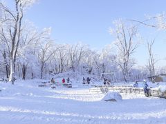 -中旅松花湖滑雪场