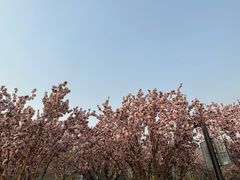 -天津万象城