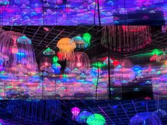 -南湖梦幻岛