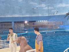 -泉城欧乐堡海洋极地世界