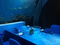 -海棠湾洲际-涛·海底餐厅·美人鱼·自助餐·海底隧道
