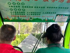 -合肥滨湖国家森林公园