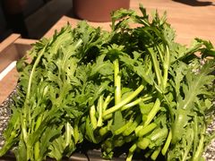茼蒿-老鼎旺安格斯牛肉火锅(衡艺广场店)