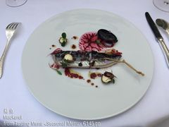 鲭鱼-Epicure