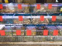 水产区-金海湾海鲜排档(朱家尖店)