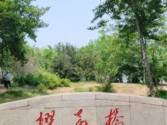 -长白岛森林公园