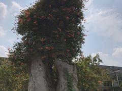 -南通洲际绿博园