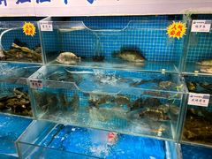-胖姐渔村(中源大道店)