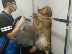 -瑞派宠物医院·24小时骨科·心脏·核磁(哈尔滨南岗店)