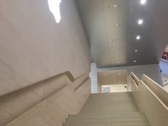 -Apple零售店(玄武湖店)