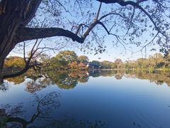 -西湖外事游船(湖滨二公园外事游船码头)