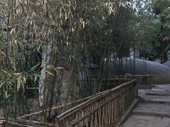 -老张烤羊(王哥庄店)