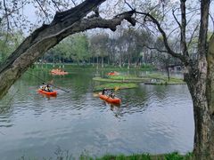 -西溪国家湿地公园