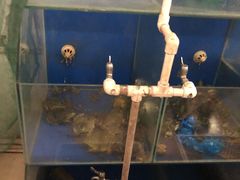 -清水湾农庄(机器人大道店)