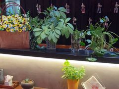 -8PINTS八品脱·日料·烧鸟·精酿小酒馆(莘庄店)