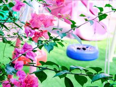 -广东省委机关幼儿院