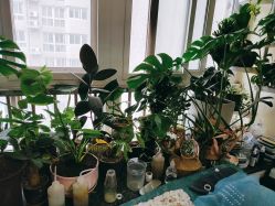 -美甲日记美睫专业纹绣半永久