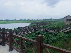 -焦岗湖旅游度假区