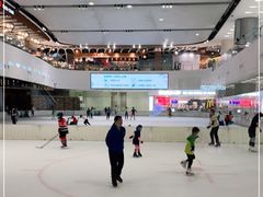 -TheRink大零溜冰场(IFS国金中心店)