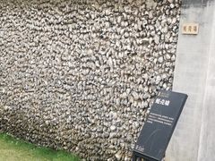 -碧江金楼