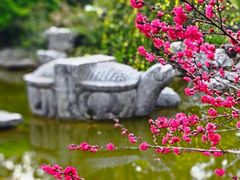 -苏州太湖湖滨国家湿地公园