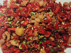 -向川南·水煮鱼·川菜(和平里店)