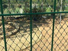 -武汉紫薇都市田园