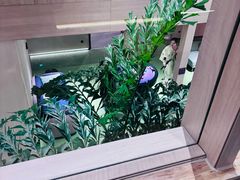 -A+阿加汤宿(大悦城店)