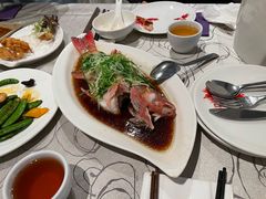 -東海薈。拉斐特(青衣城店)