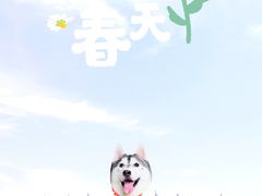 -花开海上生态园