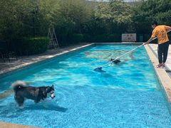 -汪说喵讲宠物乐园宠物酒店(红星美凯龙店)